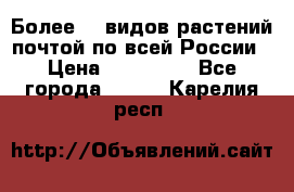 Более200 видов растений почтой по всей России › Цена ­ 100-500 - Все города  »    . Карелия респ.